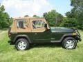 Emerald Green Pearl - Wrangler SE 4x4 Photo No. 6