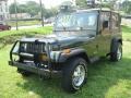 Emerald Green Pearl - Wrangler SE 4x4 Photo No. 8