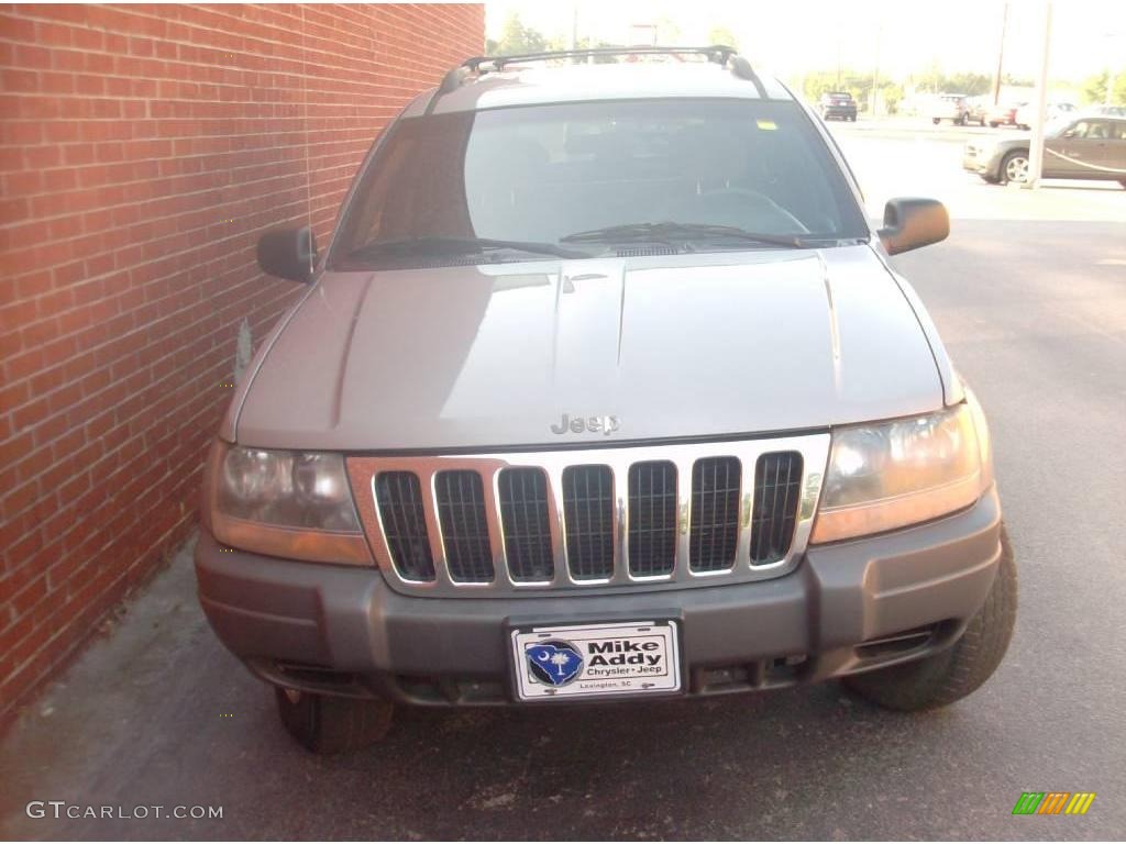 2001 Grand Cherokee Laredo - Champagne Pearl / Agate photo #8