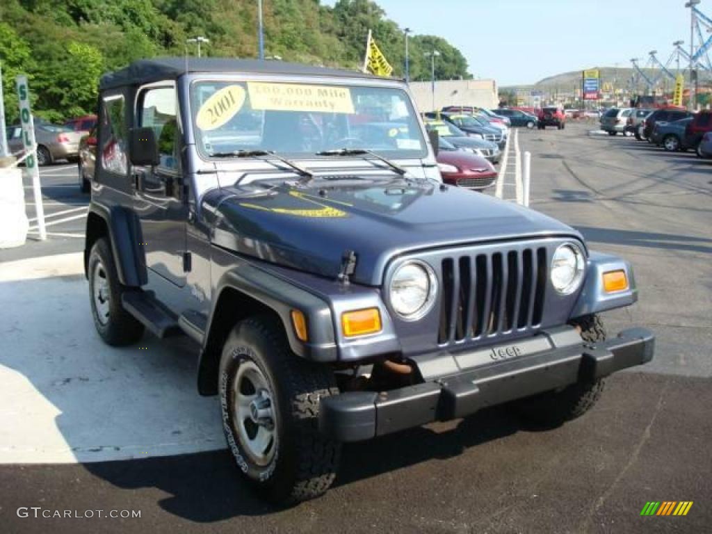 2001 Wrangler SE 4x4 - Steel Blue Pearl / Agate Black photo #6