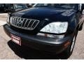 2001 Black Onyx Lexus RX 300 AWD  photo #19