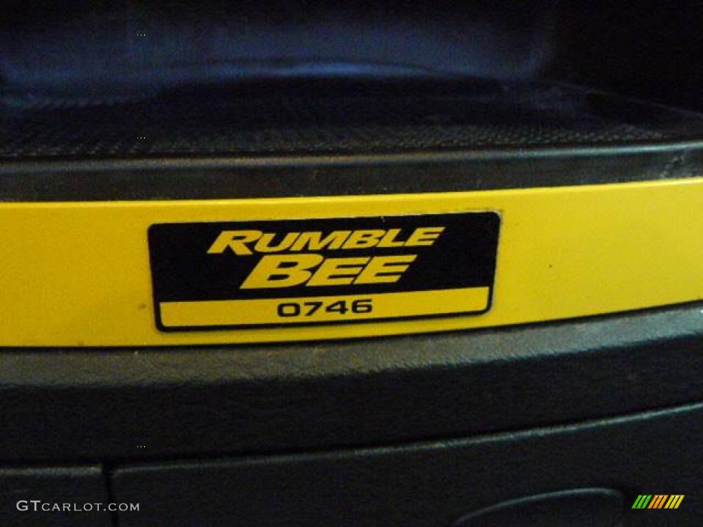 2004 Ram 1500 SLT Rumble Bee Regular Cab - Solar Yellow / Dark Slate Gray/Yellow Accents photo #28