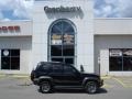 2005 Black Clearcoat Jeep Liberty Renegade 4x4  photo #1