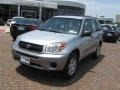 Titanium Metallic - RAV4  Photo No. 2