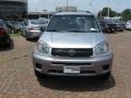 Titanium Metallic - RAV4  Photo No. 3