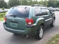 2004 Machine Green Metallic Mitsubishi Endeavor LS AWD  photo #4