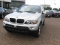 Titanium Silver Metallic - X5 3.0i Photo No. 4
