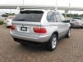 Titanium Silver Metallic - X5 3.0i Photo No. 10
