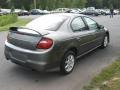 2005 Mineral Gray Metallic Dodge Neon SXT  photo #5