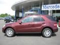 Barolo Red Metallic - ML 350 4Matic Photo No. 2