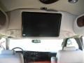 2009 Graystone Metallic Chevrolet Express 1500 Passenger Conversion  photo #16