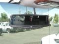 2009 Graystone Metallic Chevrolet Express 1500 Passenger Conversion  photo #22