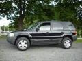 2004 Black Ford Escape XLT V6 4WD  photo #2