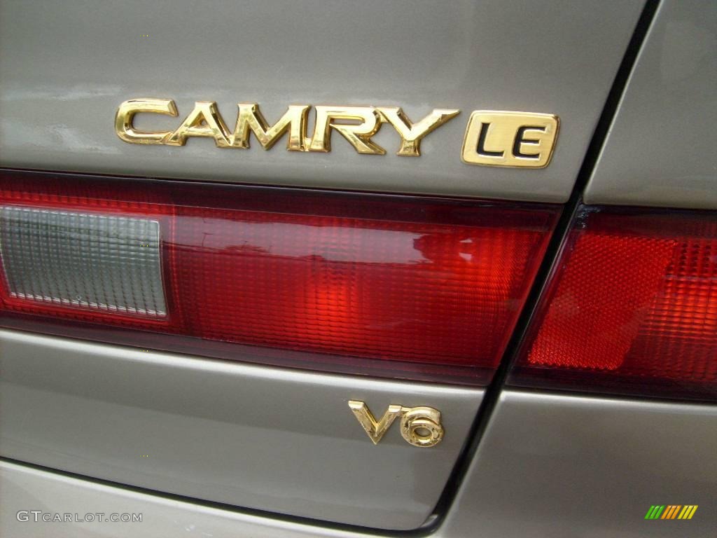 1999 Camry LE V6 - Sable Pearl / Oak photo #18
