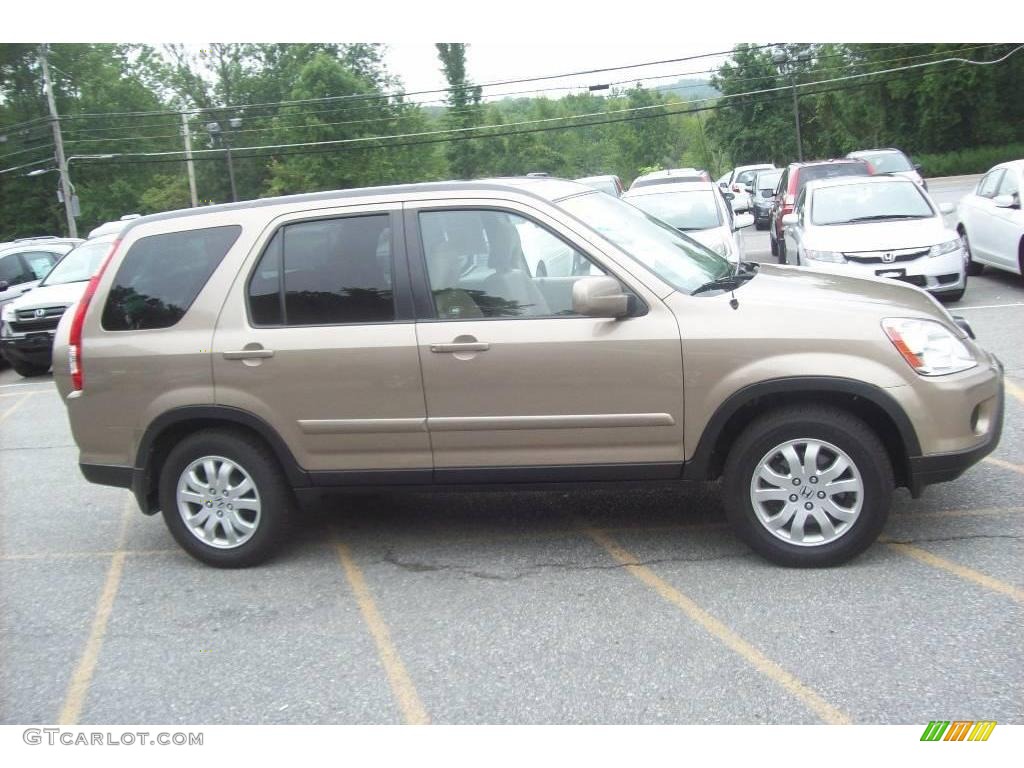 2005 CR-V Special Edition 4WD - Sahara Sand Metallic / Ivory photo #20