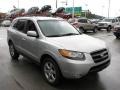 2007 Bright Silver Hyundai Santa Fe SE 4WD  photo #10