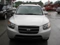 2007 Bright Silver Hyundai Santa Fe SE 4WD  photo #11