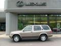 Bronzed Gray Metallic - Pathfinder LE 4x4 Photo No. 2