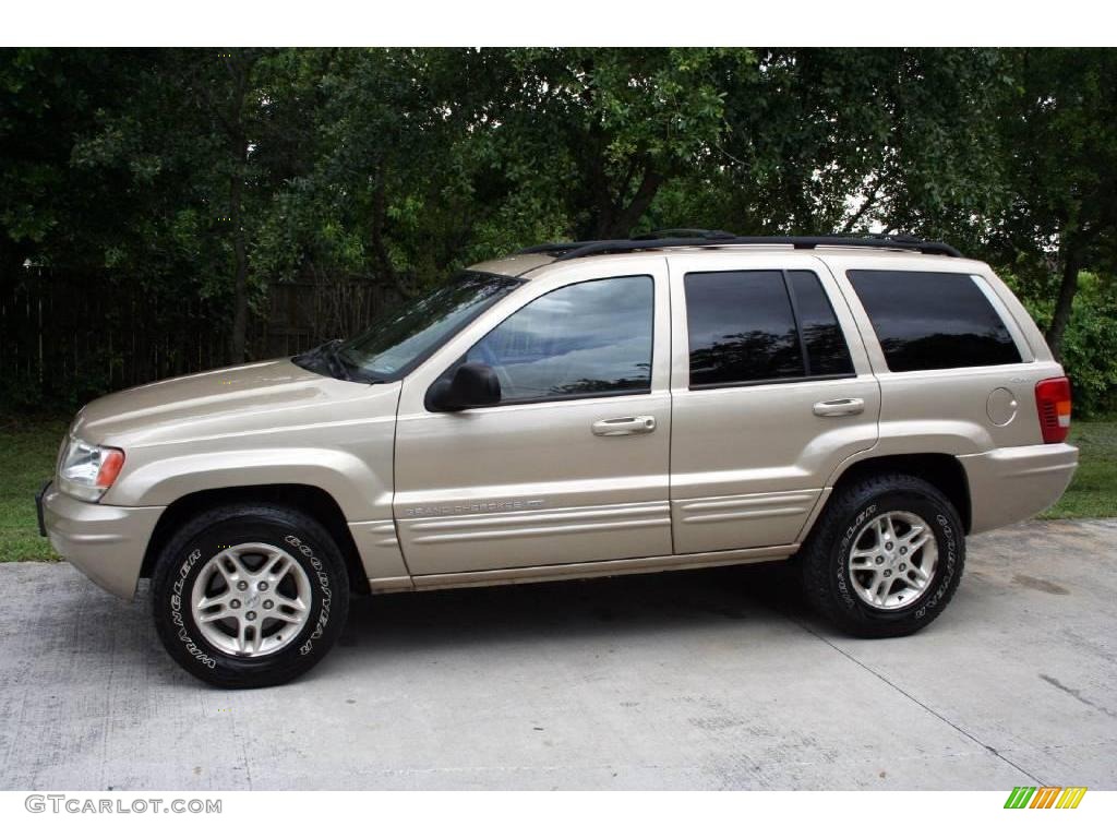 1999 Grand Cherokee Limited 4x4 - Champagne Pearl / Camel photo #3