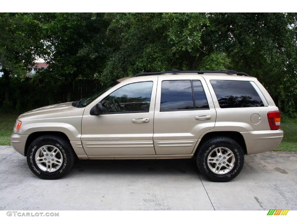 1999 Grand Cherokee Limited 4x4 - Champagne Pearl / Camel photo #4