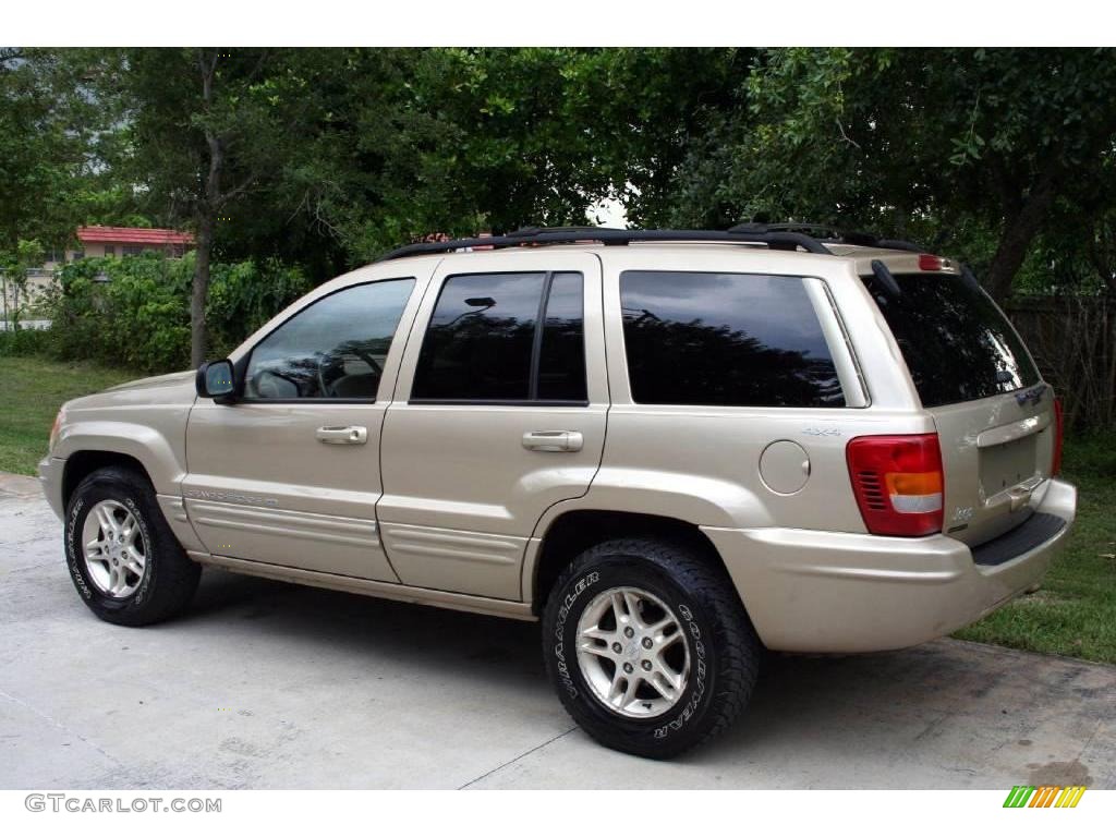 1999 Grand Cherokee Limited 4x4 - Champagne Pearl / Camel photo #6