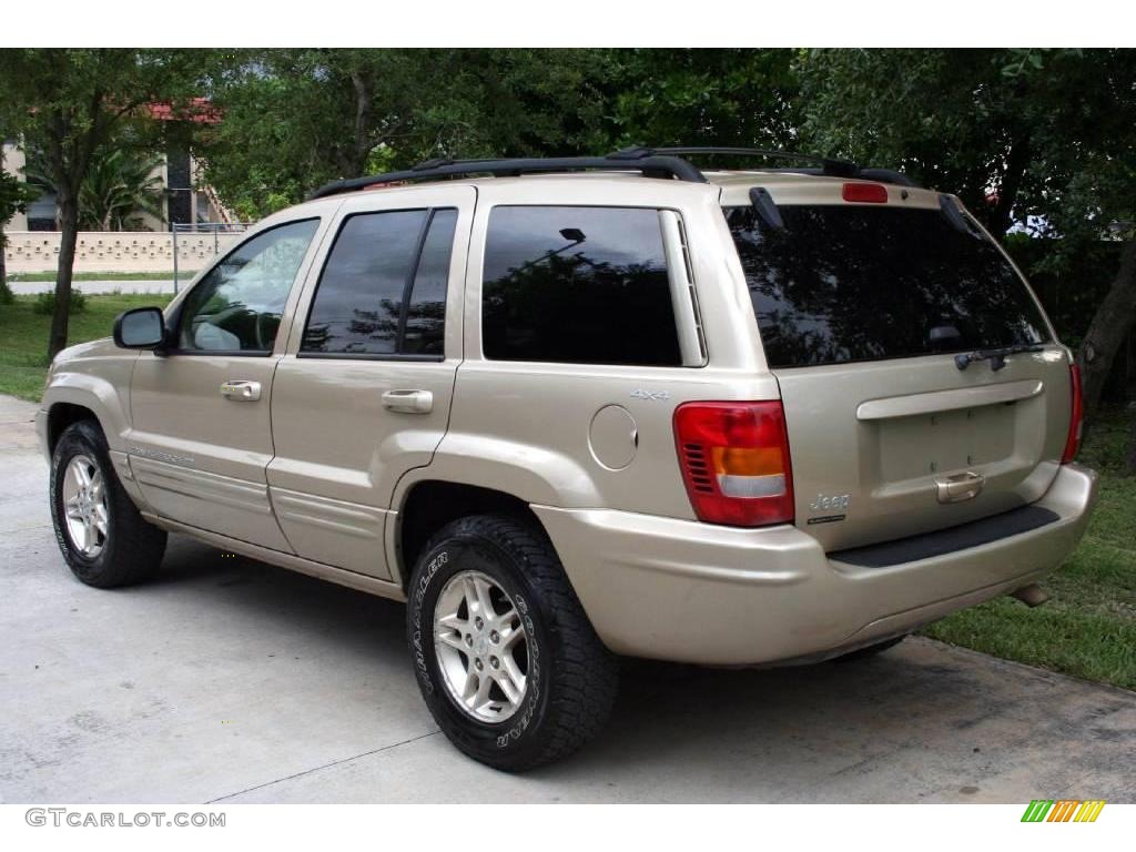 1999 Grand Cherokee Limited 4x4 - Champagne Pearl / Camel photo #7