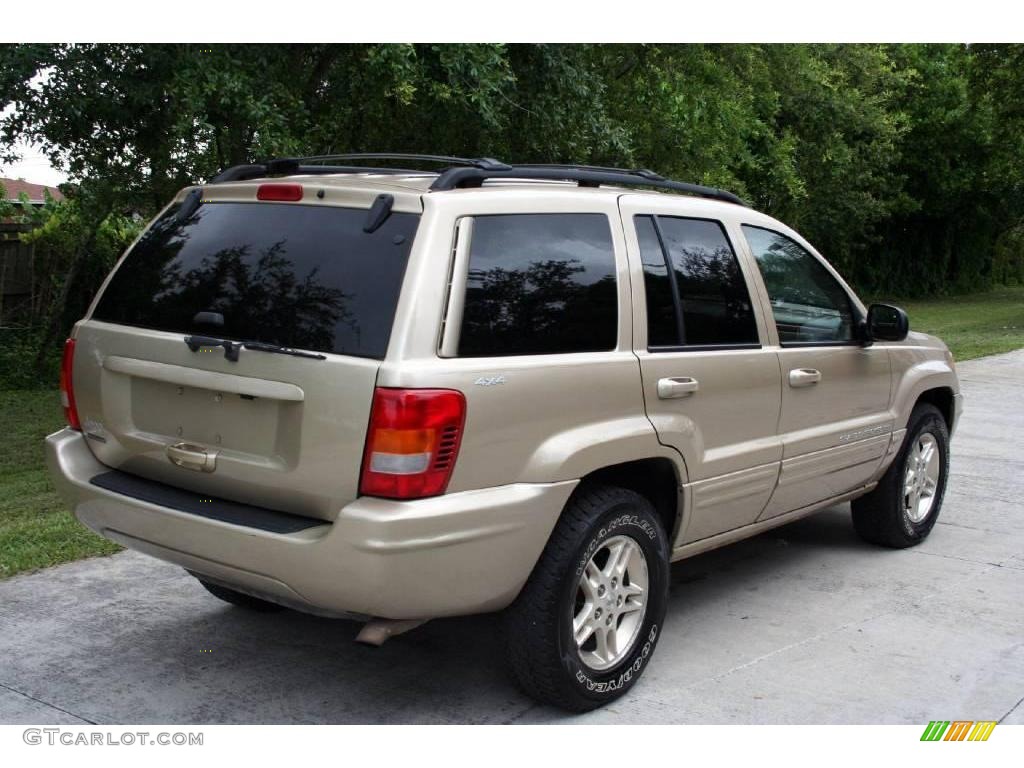 1999 Grand Cherokee Limited 4x4 - Champagne Pearl / Camel photo #10