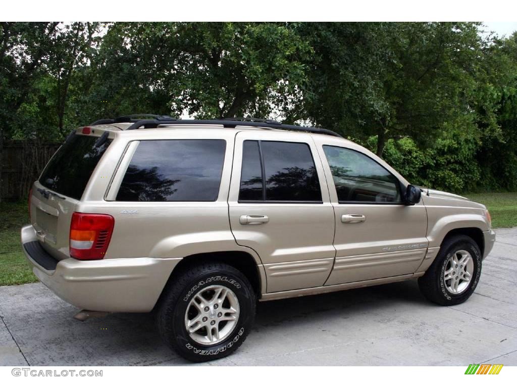 1999 Grand Cherokee Limited 4x4 - Champagne Pearl / Camel photo #11