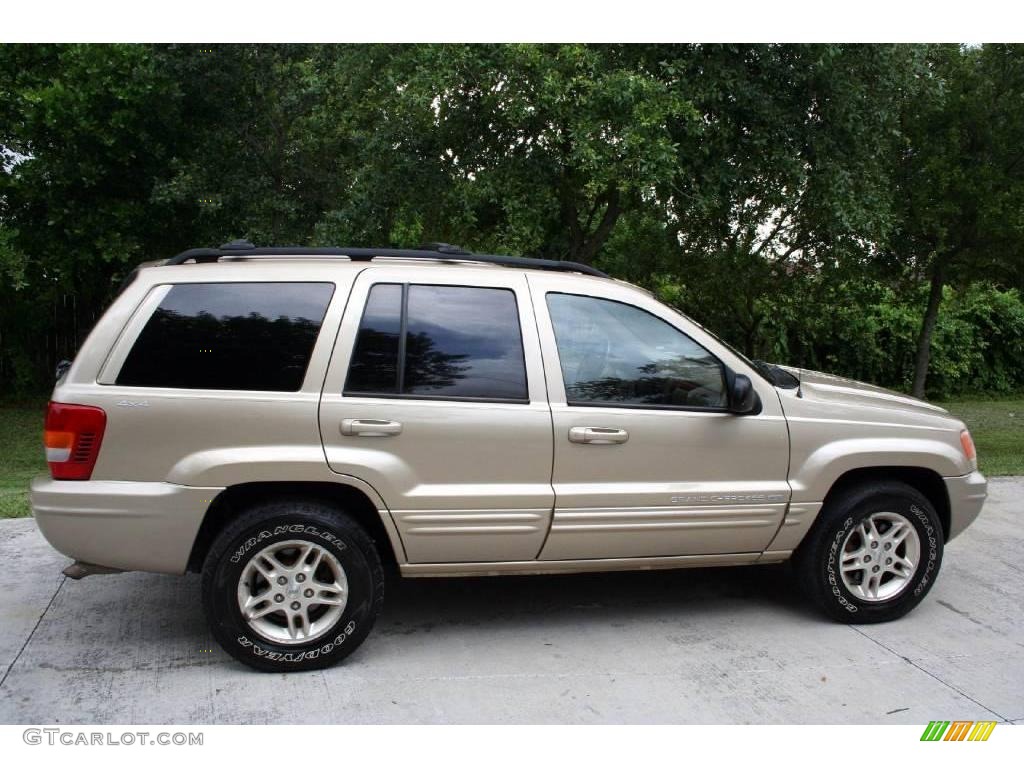 1999 Grand Cherokee Limited 4x4 - Champagne Pearl / Camel photo #12