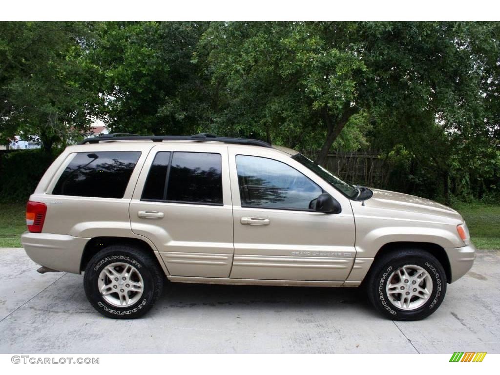 1999 Grand Cherokee Limited 4x4 - Champagne Pearl / Camel photo #13