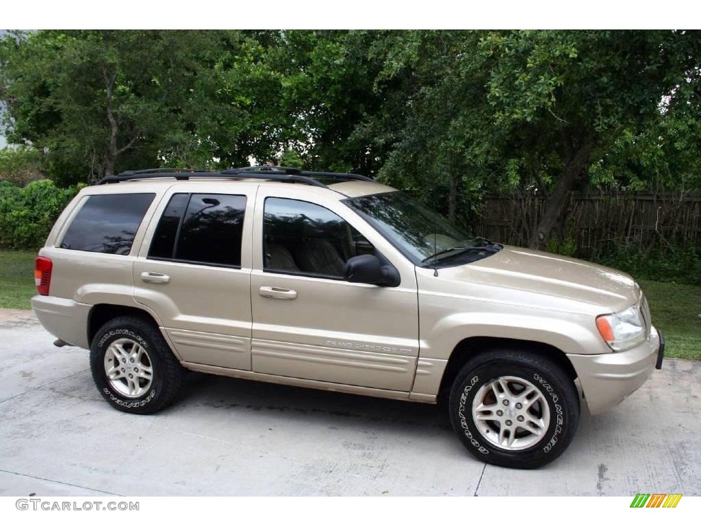 1999 Grand Cherokee Limited 4x4 - Champagne Pearl / Camel photo #14