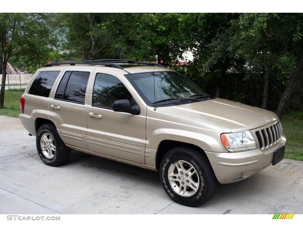 1999 Grand Cherokee Limited 4x4 - Champagne Pearl / Camel photo #15