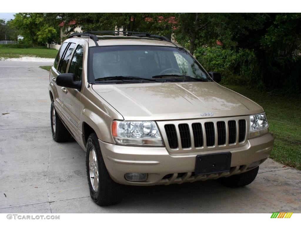1999 Grand Cherokee Limited 4x4 - Champagne Pearl / Camel photo #17