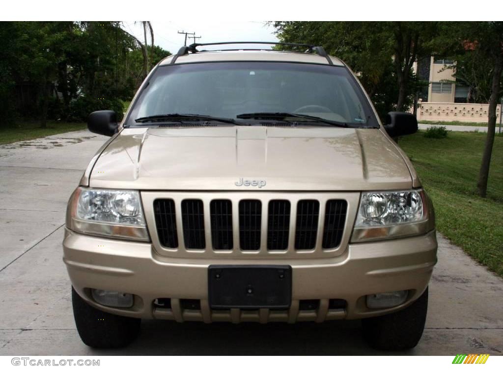 1999 Grand Cherokee Limited 4x4 - Champagne Pearl / Camel photo #18