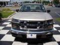 Platinum Silver Metallic - i-Series Truck i-290 S Extended Cab Photo No. 9