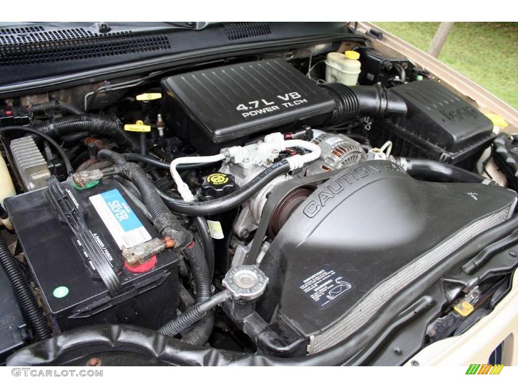 1999 Grand Cherokee Limited 4x4 - Champagne Pearl / Camel photo #31