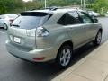 Bamboo Green Pearl - RX 350 AWD Photo No. 5