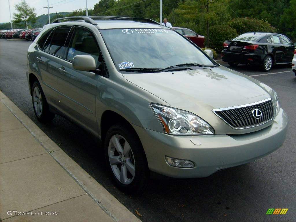 2007 RX 350 AWD - Bamboo Green Pearl / Ivory photo #6