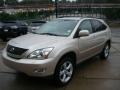 Savannah Beige Metallic - RX 350 AWD Photo No. 5