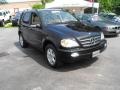 2003 Black Mercedes-Benz ML 500 4Matic  photo #4