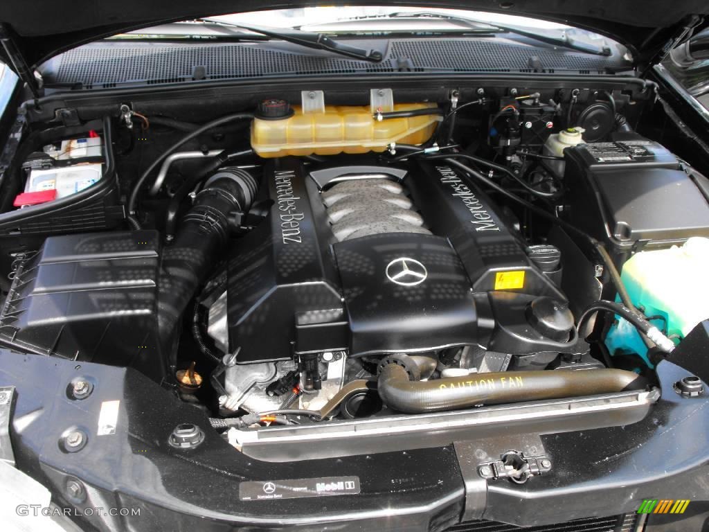 2003 ML 500 4Matic - Black / Java photo #29