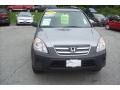 2006 Pewter Pearl Honda CR-V LX 4WD  photo #3