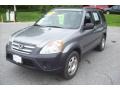 2006 Pewter Pearl Honda CR-V LX 4WD  photo #21