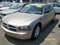 Light Sandstone Metallic - Charger SXT Photo No. 3