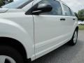 Stone White - Caliber SXT Photo No. 11