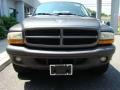 Graphite Metallic - Durango SXT 4x4 Photo No. 3