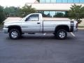 2001 Bright Silver Metallic Dodge Ram 1500 SLT Regular Cab 4x4  photo #7