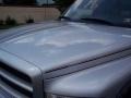 2001 Bright Silver Metallic Dodge Ram 1500 SLT Regular Cab 4x4  photo #16