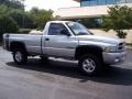 2001 Bright Silver Metallic Dodge Ram 1500 SLT Regular Cab 4x4  photo #20