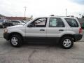 Satin Silver Metallic - Escape XLS V6 4WD Photo No. 2